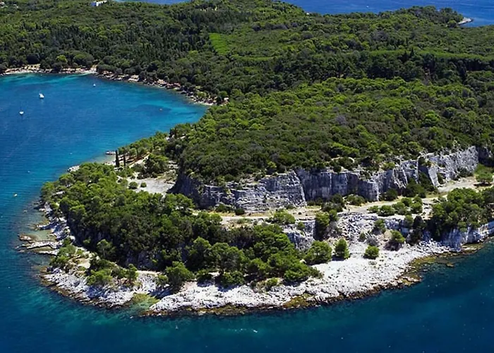 Apartman Bajo