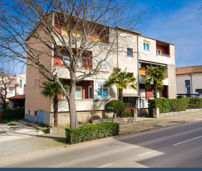 Bajo Apartment *